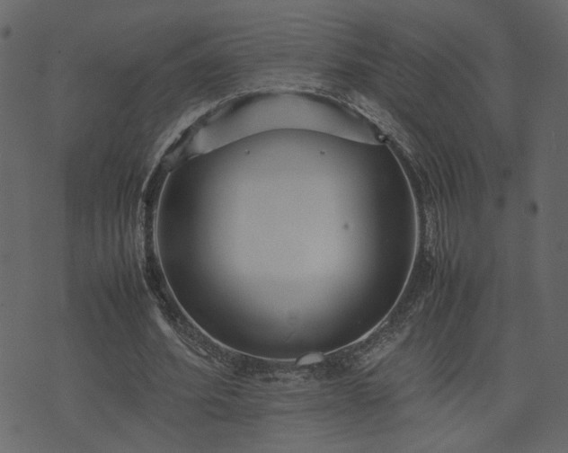 X0000074310580200608251238