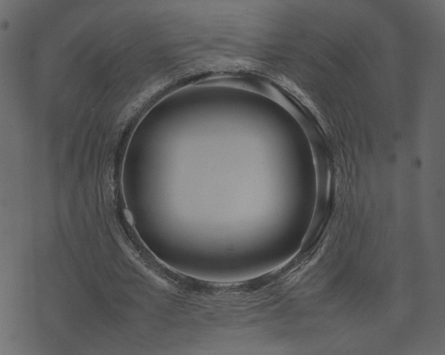 X0000074310581200608251238