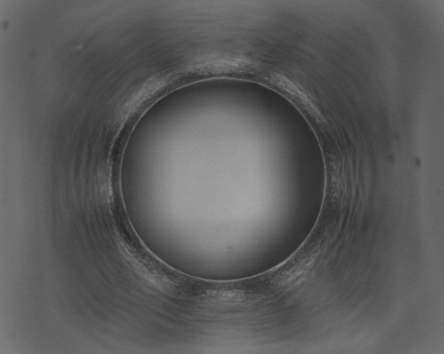 X0000074310582200608251238