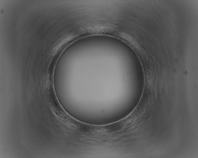 X0000074310583200608251238