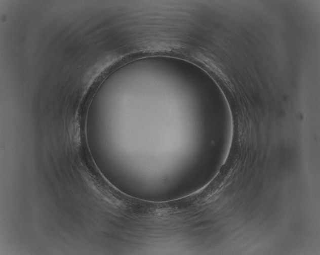 X0000074310584200608251238