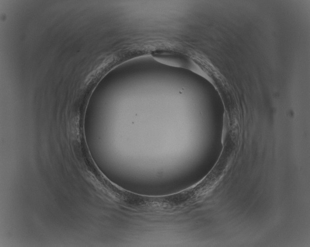 X0000074310585200608251238