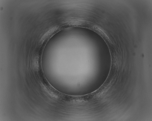 X0000074310586200608251238