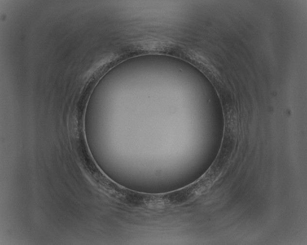 X0000074310587200608251238