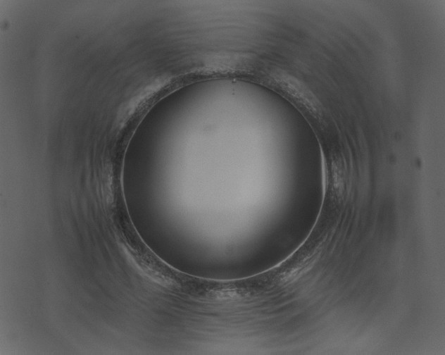 X0000074310588200608251238