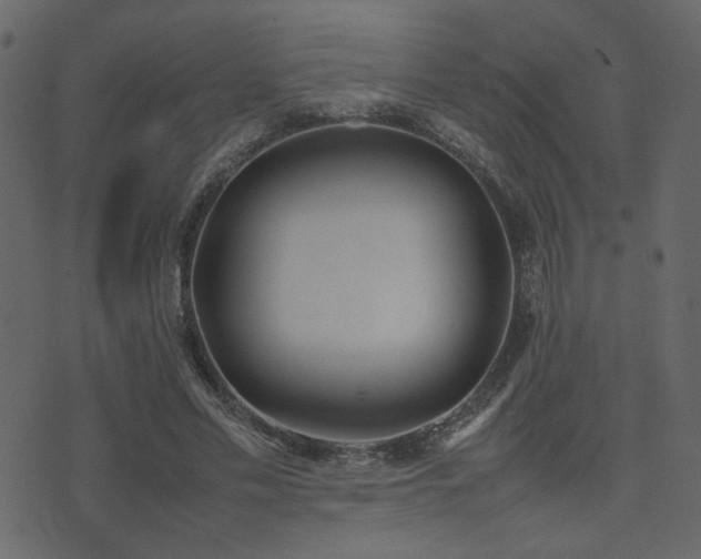 X0000074310589200608251238