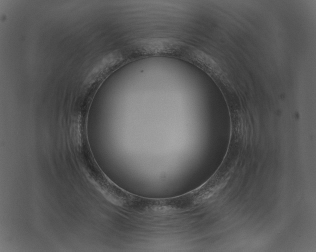 X0000074310590200608251238