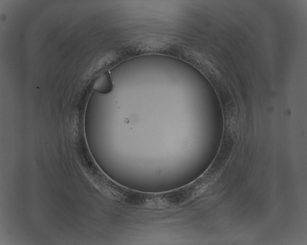 X0000074310591200608251238