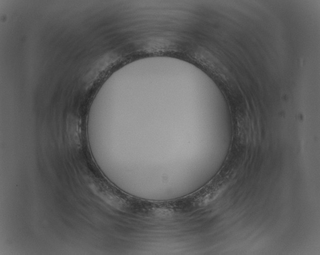 X0000074310592200608251238