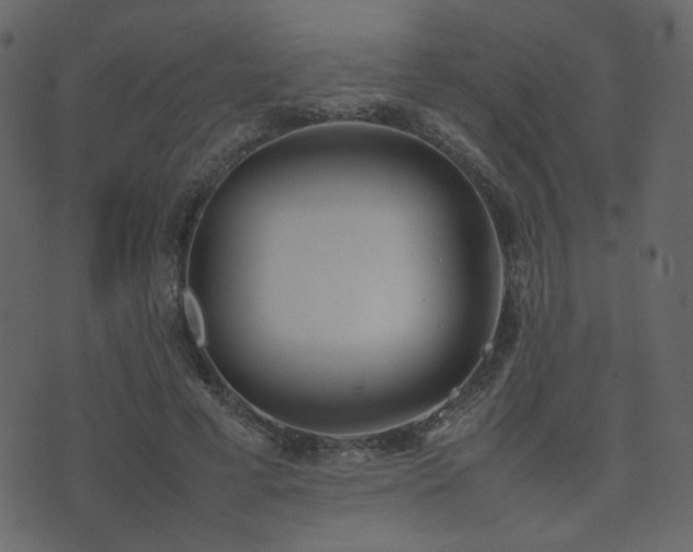 X0000074310593200608251237