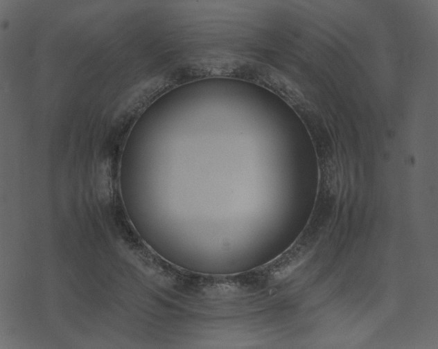 X0000074310594200608251237