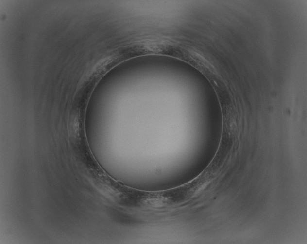 X0000074310595200608251237