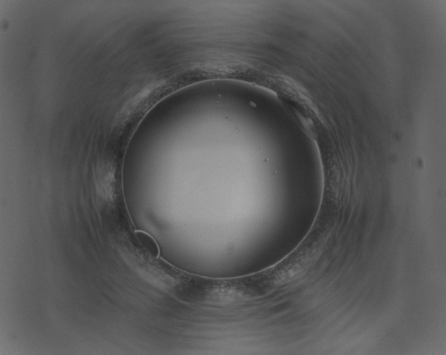 X0000074310596200608251237