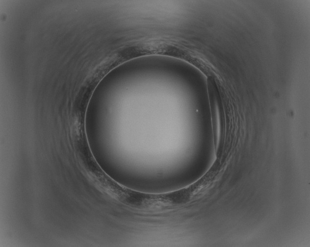 X0000074310597200608251237