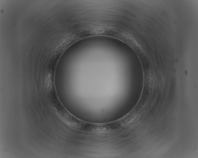 X0000074310598200608251237