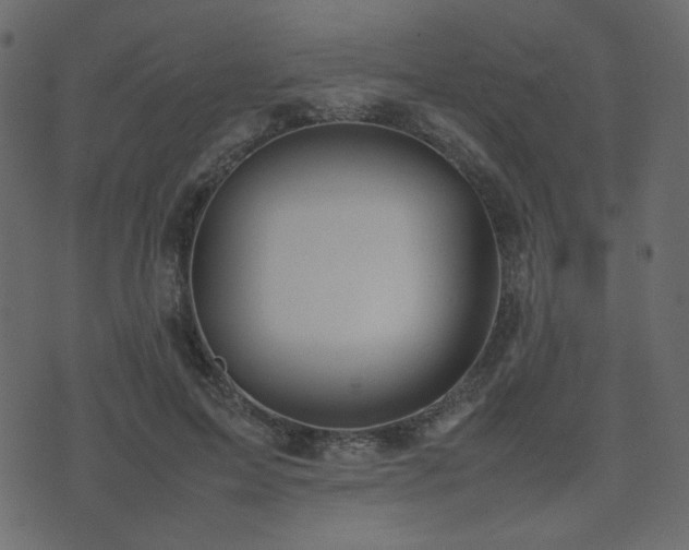 X0000074310599200608251237