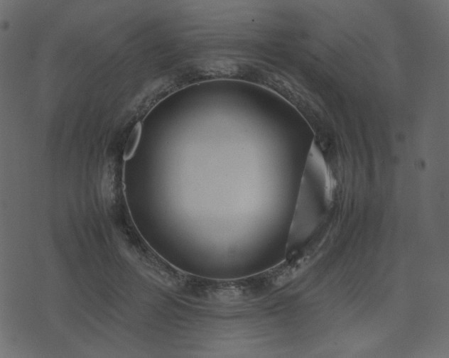 X0000074310600200608251237