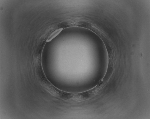 X0000074310601200608251237