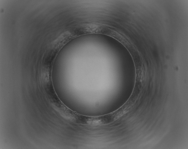 X0000074310602200608251237