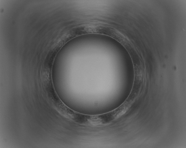 X0000074310603200608251237