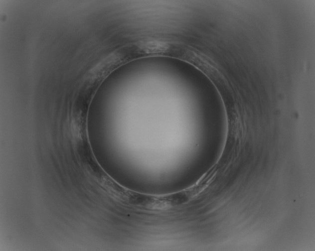 X0000074310604200608251237