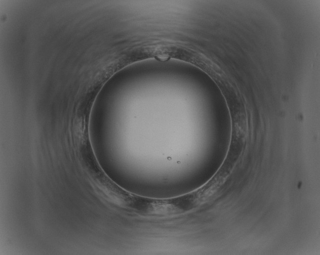 X0000074310605200608251237