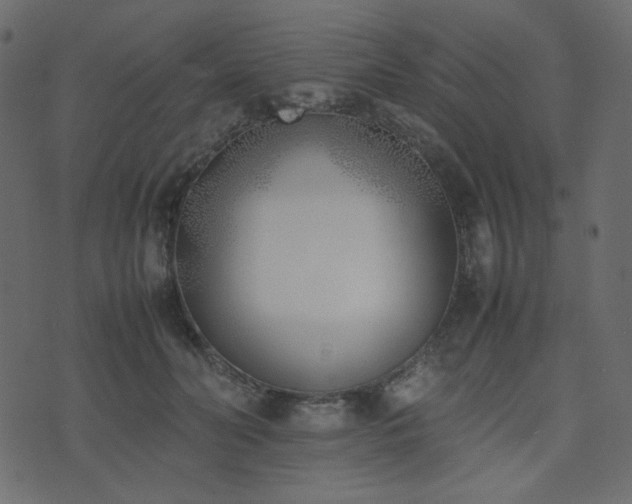 X0000074310606200608251237