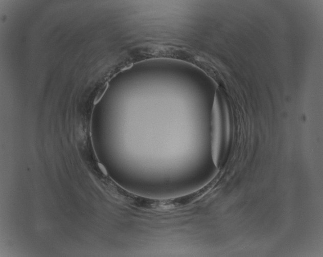 X0000074310607200608251237