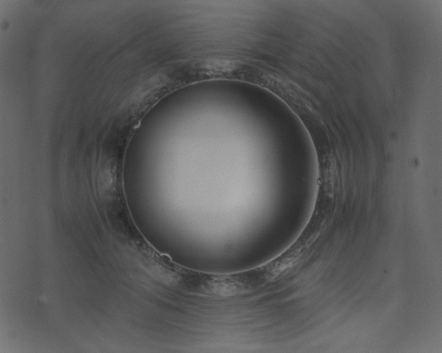 X0000074310608200608251237