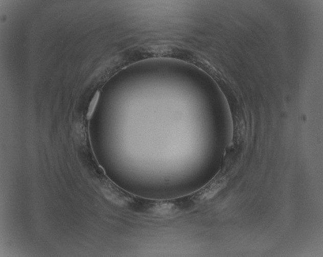 X0000074310609200608251237