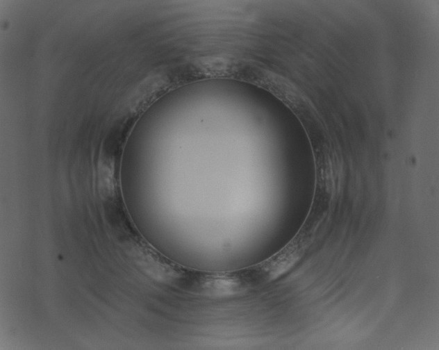 X0000074310610200608251237