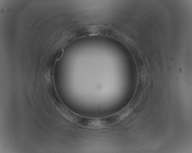 X0000074310611200608251237