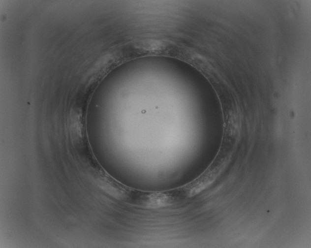 X0000074310612200608251237