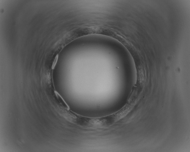 X0000074310613200608251237