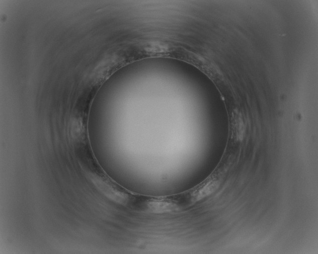 X0000074310614200608251237