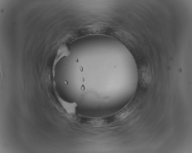 X0000074310615200608251237