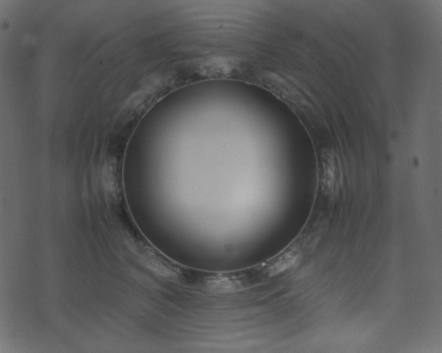 X0000074310616200608251237