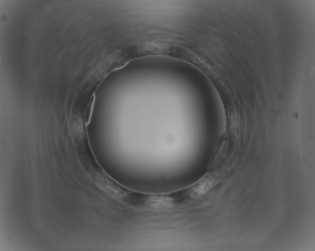 X0000074310617200608251237