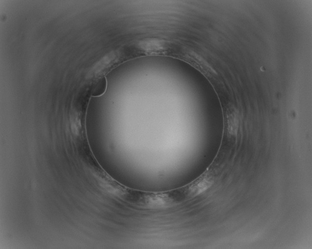 X0000074310618200608251237