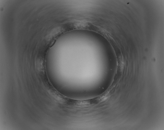 X0000074310619200608251237