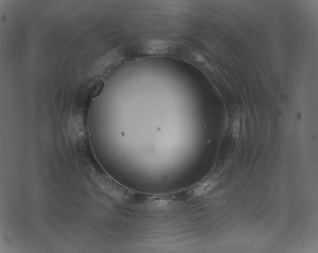 X0000074310620200608251237