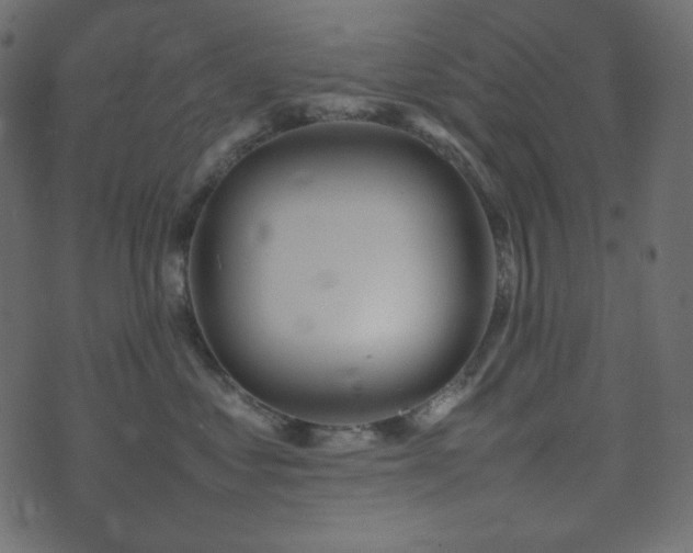 X0000074310621200608251237