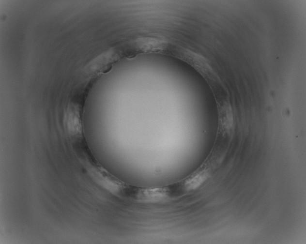 X0000074310622200608251237