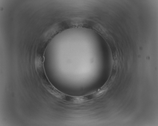 X0000074310623200608251237