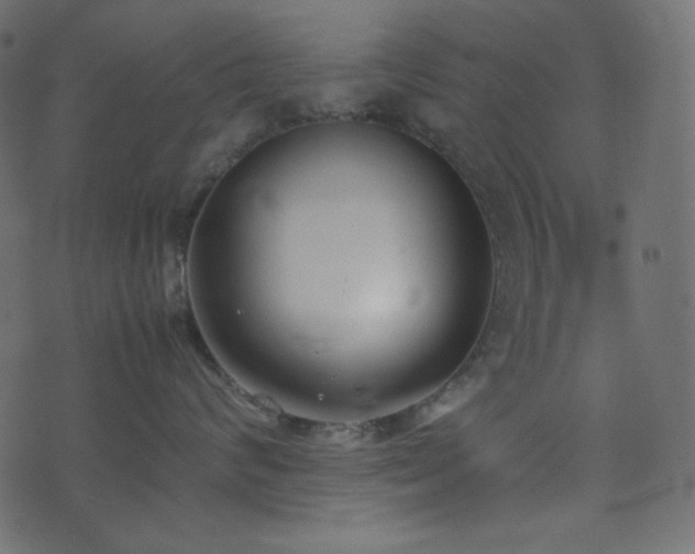 X0000074310624200608251237