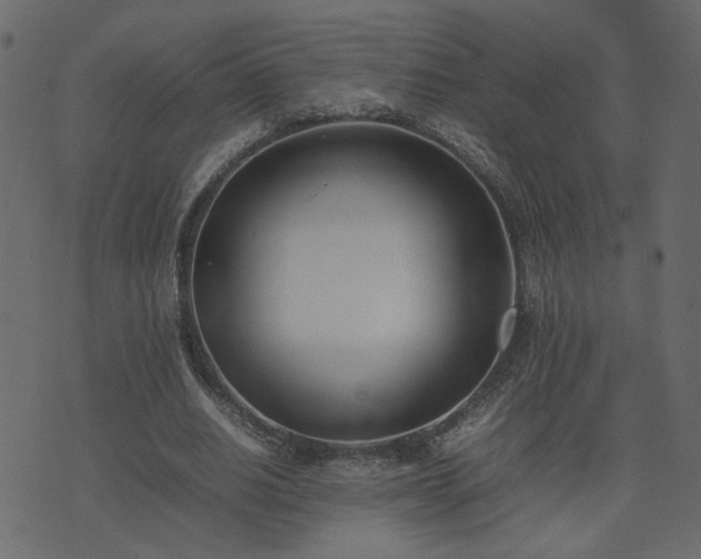 X0000074310630200608251236