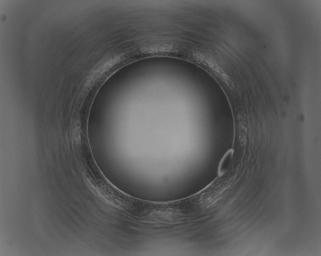 X0000074310631200608251236