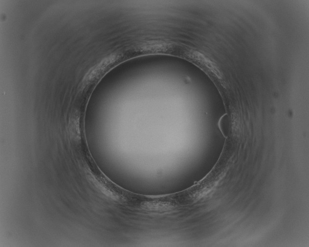 X0000074310633200608251236