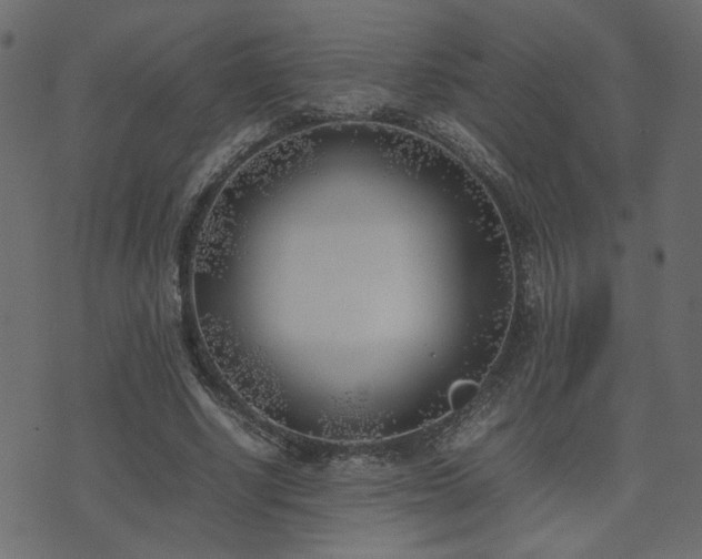 X0000074310634200608251236