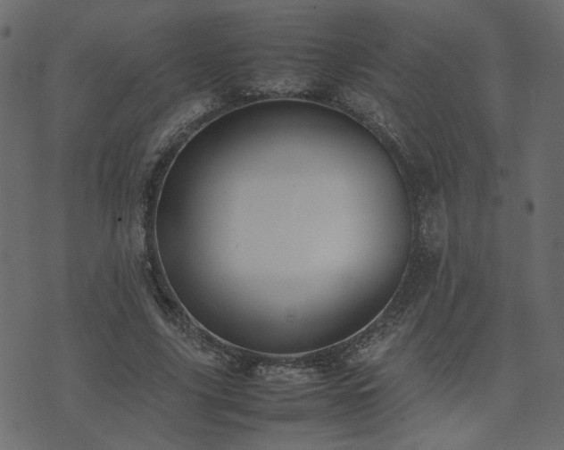 X0000074310635200608251236